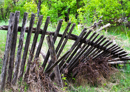 Old Fence Removal by The Junkluggers of North Tampa Bay